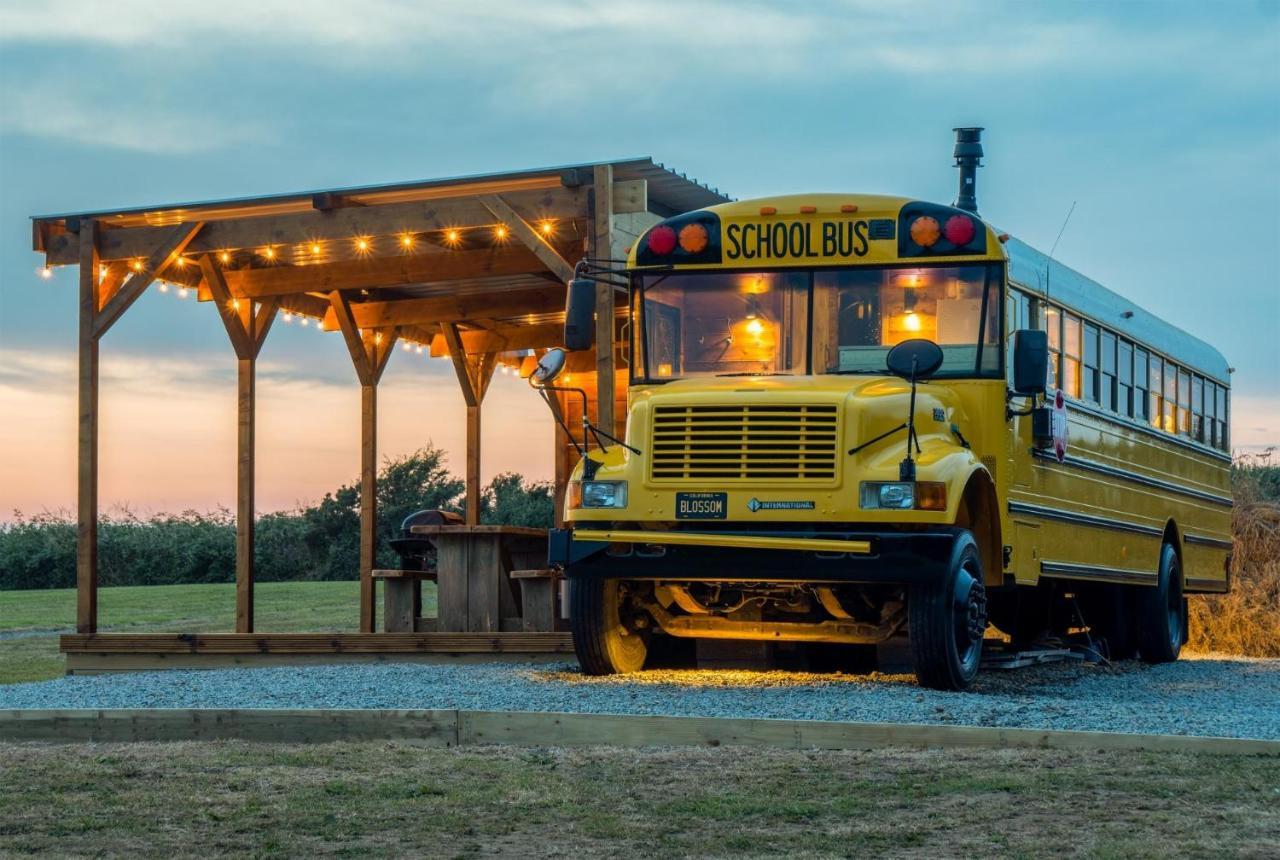 American School Bus - 1 Bedroom - Blossom Farm - Tiers Cross Johnston Zewnętrze zdjęcie