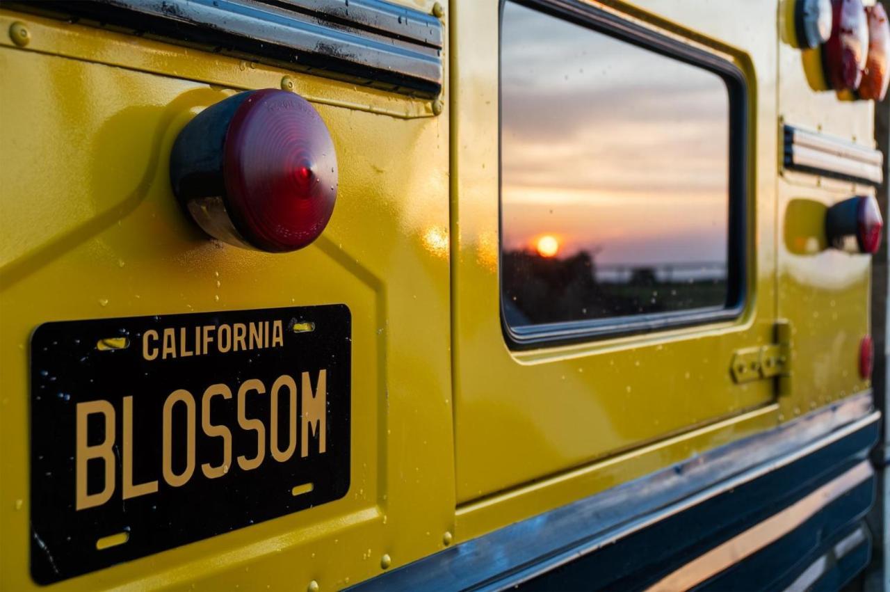 American School Bus - 1 Bedroom - Blossom Farm - Tiers Cross Johnston Zewnętrze zdjęcie